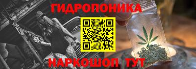 СК Можга