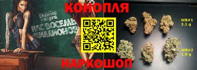 СК Можга