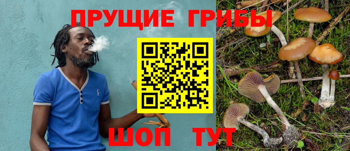 Верхняя Пышма  Псилоцибиновые грибы ЛСД  Галлюциногенные грибы Psilocybe  Вход с VPN 